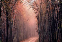 九游娱乐-武大豪取克拉克！冠军梦想照进现实的破晓之战