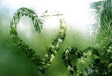 九游体育APP下载-多特蒙德客场胜出，成功力挽狂澜