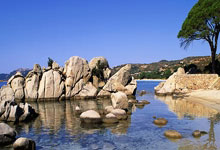 九游体育平台-摩洛哥瓦赫达主帅强调团队配合，迎战欧洲劲旅