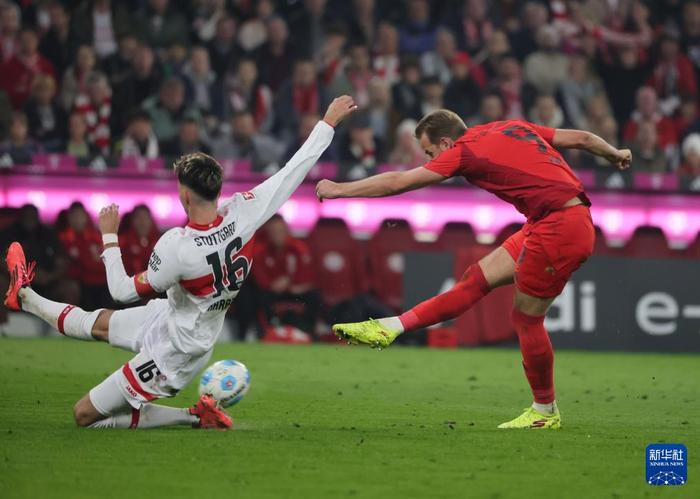 关于斯图加特在主场战胜慕尼黑，实现反弹的信息
