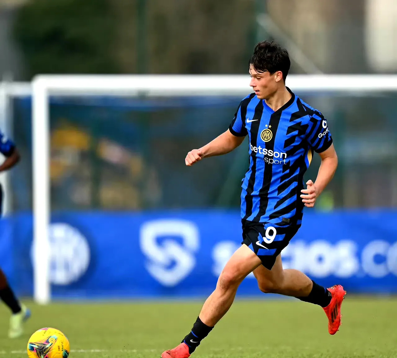 帕尔马遭遇重大伤病危机，球队形势堪忧的简单介绍