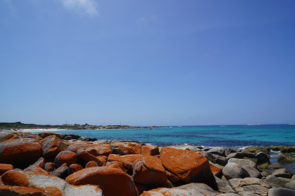 九游VIP-大洋洲篮球赛掀起热潮，小众高手逆袭登顶