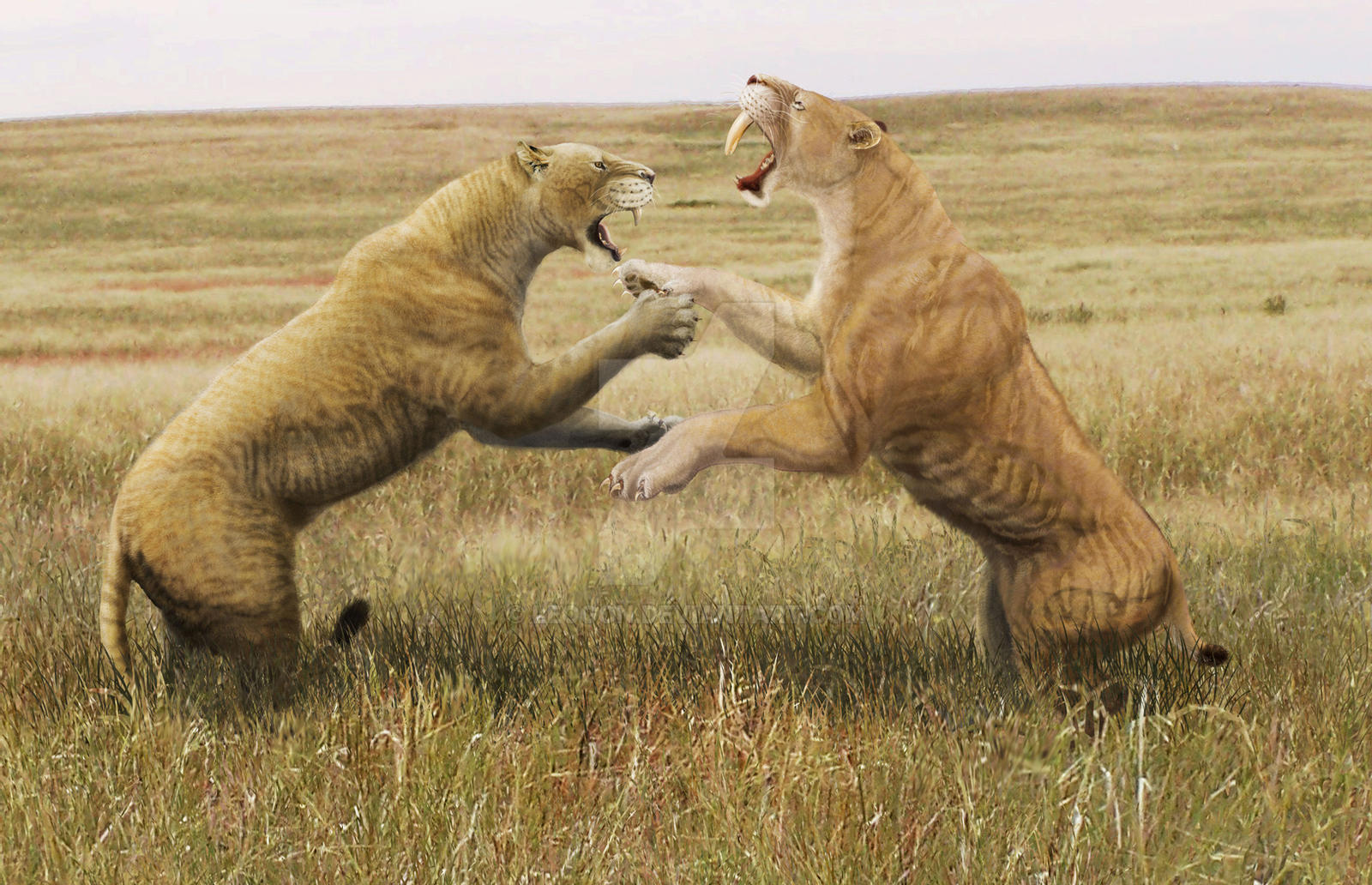 南美洲篮球巅峰之争悬念迭起