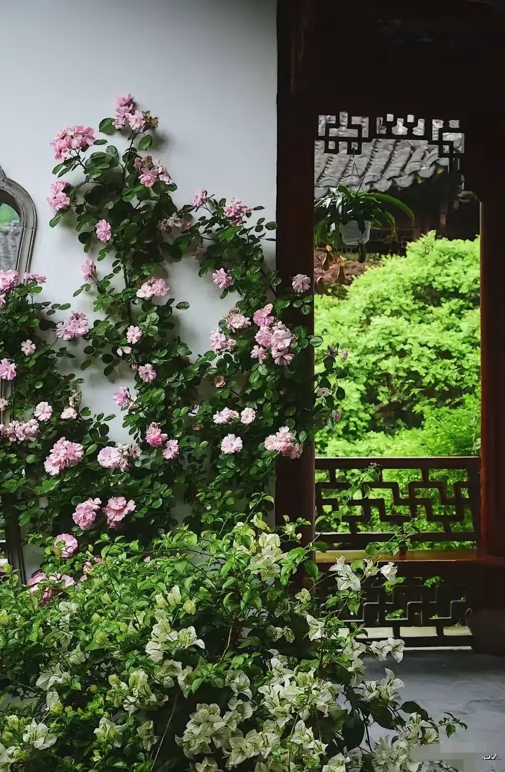 宛转袅微花似，一寸破红穿浅紫的简单介绍